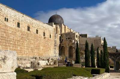 WhatsApp Image 2024-09-24 at 17.07.43 (11).jpeg